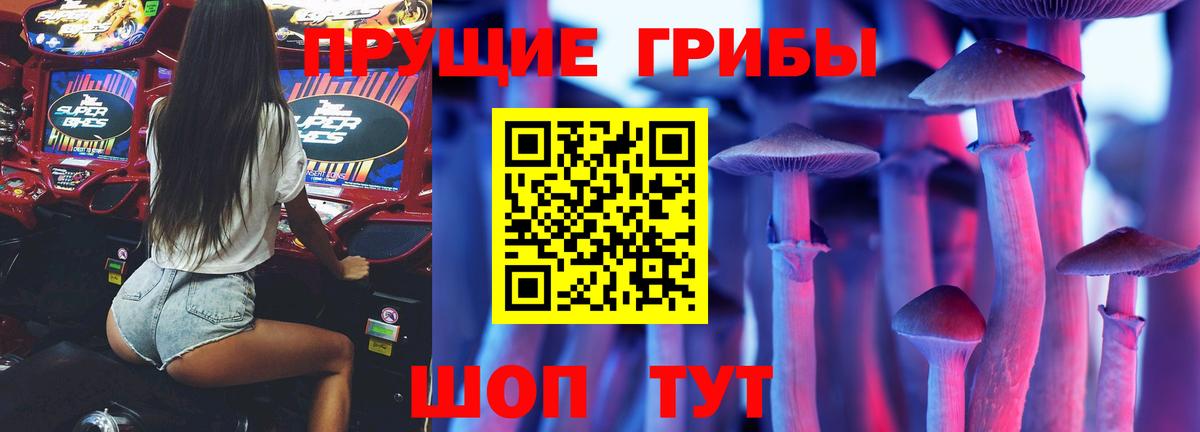 Псилоцибиновые грибы GOLDEN TEACHER Свободный